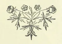Picture 11 of 24 from Spain ... With 21 illustrations by J. K. Meadows (1872), leaf 217