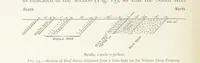 Picture 9 of 173 from The Witwatersrand Goldfields Banket and Mining Practice (1898), leaf 116