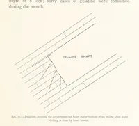 Picture 40 of 173 from The Witwatersrand Goldfields Banket and Mining Practice (1898), leaf 209