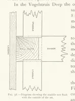 Picture 46 of 173 from The Witwatersrand Goldfields Banket and Mining Practice (1898), leaf 216