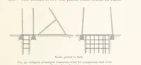Picture 47 of 173 from The Witwatersrand Goldfields Banket and Mining Practice (1898), leaf 217