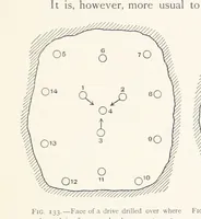 Picture 120 of 173 from The Witwatersrand Goldfields Banket and Mining Practice (1898), leaf 341