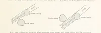 Picture 128 of 173 from The Witwatersrand Goldfields Banket and Mining Practice (1898), leaf 359