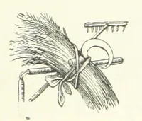 Picture 57 of 63 from Little Loving-Hearts Poem-Book ... With illustrations (1882), leaf 159