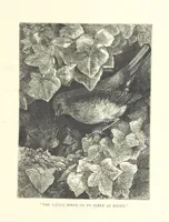 Picture 4 of 63 from Little Loving-Hearts Poem-Book ... With illustrations (1882), leaf 23