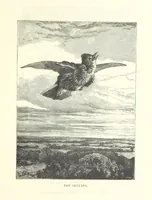 Picture 7 of 63 from Little Loving-Hearts Poem-Book ... With illustrations (1882), leaf 27
