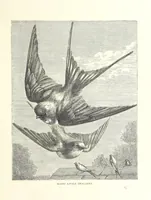 Picture 11 of 63 from Little Loving-Hearts Poem-Book ... With illustrations (1882), leaf 35