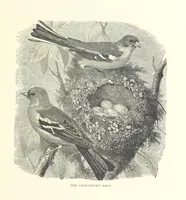 An illustration from Little Loving-Hearts Poem-Book ... With illustrations (1882)