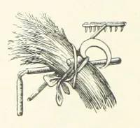 Picture 20 of 63 from Little Loving-Hearts Poem-Book ... With illustrations (1882), leaf 50