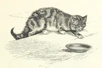 An illustration from Little Loving-Hearts Poem-Book ... With illustrations (1882)