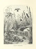 Picture 32 of 63 from Little Loving-Hearts Poem-Book ... With illustrations (1882), leaf 70