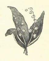 Picture 33 of 63 from Little Loving-Hearts Poem-Book ... With illustrations (1882), leaf 72