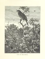 Picture 35 of 63 from Little Loving-Hearts Poem-Book ... With illustrations (1882), leaf 75