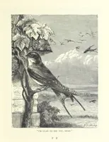 Picture 40 of 63 from Little Loving-Hearts Poem-Book ... With illustrations (1882), leaf 85