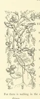 An illustration from Proverbial Philosophy. (The first and second series.) ... Illustrated. A new edition (1867)