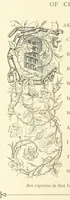 An illustration from Proverbial Philosophy. (The first and second series.) ... Illustrated. A new edition (1867)