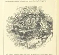 Picture 13 of 103 from Proverbial Philosophy. (The first and second series.) ... Illustrated. A new edition (1867), leaf 36