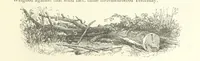 An illustration from Proverbial Philosophy in four series; now first complete, etc (1881)