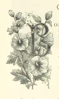 An illustration from Proverbial Philosophy in four series; now first complete, etc (1881)