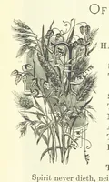 An illustration from Proverbial Philosophy in four series; now first complete, etc (1881)