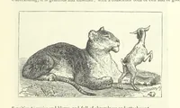 An illustration from Proverbial Philosophy in four series; now first complete, etc (1881)