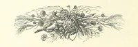 An illustration from Proverbial Philosophy in four series; now first complete, etc (1881)