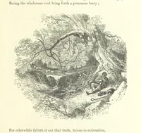 An illustration from Proverbial Philosophy in four series; now first complete, etc (1881)