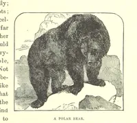 An illustration from Our North Land: being a full account of the Canadian North-West and Hudson's Bay Route, together with a narrative of the experiences of the Hudson's Bay Expedition of 1884 ... Illustrated, etc (1885)