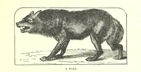 An illustration from Our North Land: being a full account of the Canadian North-West and Hudson's Bay Route, together with a narrative of the experiences of the Hudson's Bay Expedition of 1884 ... Illustrated, etc (1885)