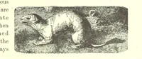 An illustration from Our North Land: being a full account of the Canadian North-West and Hudson's Bay Route, together with a narrative of the experiences of the Hudson's Bay Expedition of 1884 ... Illustrated, etc (1885)