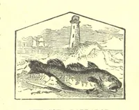 Picture 3 of 57 from Our North Land: being a full account of the Canadian North-West and Hudson's Bay Route, together with a narrative of the experiences of the Hudson's Bay Expedition of 1884 ... Illustrated, etc (1885), leaf 47