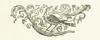 An illustration from The Diamond Rose: a life of love and duty (1890)