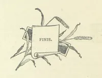 Picture 16 of 21 from The Rogues of Society, and The Doctor of Duddlestone (1899), leaf 138