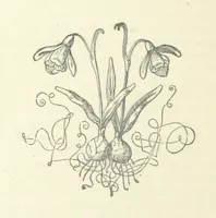 Picture 20 of 21 from The Rogues of Society, and The Doctor of Duddlestone (1899), leaf 196