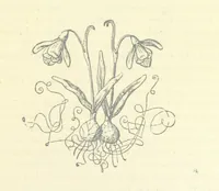 Picture 7 of 21 from The Rogues of Society, and The Doctor of Duddlestone (1899), leaf 43