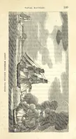 Picture 13 of 20 from The Naval Temple: containing a complete history of the battles fought by the Navy of the United States from ... 1794 to the present time ... [By H. Kimball.] With ... engravings, etc (1837), leaf 117
