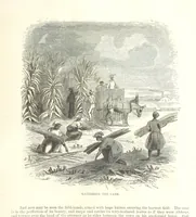 Picture 25 of 79 from Eighty Years' Progress of the United States: a family record of American industry, energy and enterprise ... By eminent literary men [C. L. Flint and others] ... Embellished with ... engravings, etc (1868), leaf 147