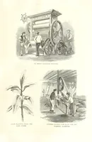 Picture 67 of 79 from Eighty Years' Progress of the United States: a family record of American industry, energy and enterprise ... By eminent literary men [C. L. Flint and others] ... Embellished with ... engravings, etc (1868), leaf 443