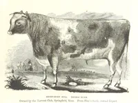 An illustration from Eighty Years' Progress of the United States: a family record of American industry, energy and enterprise ... By eminent literary men [C. L. Flint and others] ... Embellished with ... engravings, etc (1868)