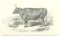 An illustration from Eighty Years' Progress of the United States: a family record of American industry, energy and enterprise ... By eminent literary men [C. L. Flint and others] ... Embellished with ... engravings, etc (1868)