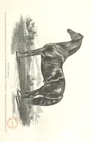 An illustration from Eighty Years' Progress of the United States: a family record of American industry, energy and enterprise ... By eminent literary men [C. L. Flint and others] ... Embellished with ... engravings, etc (1868)