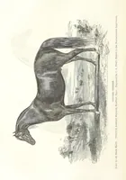An illustration from Eighty Years' Progress of the United States: a family record of American industry, energy and enterprise ... By eminent literary men [C. L. Flint and others] ... Embellished with ... engravings, etc (1868)