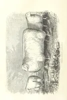 An illustration from Eighty Years' Progress of the United States: a family record of American industry, energy and enterprise ... By eminent literary men [C. L. Flint and others] ... Embellished with ... engravings, etc (1868)