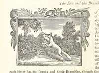 Picture 63 of 76 from Eighty Years' Progress of the United States: a family record of American industry, energy and enterprise ... By eminent literary men [C. L. Flint and others] ... Embellished with ... engravings, etc (1868), leaf 438