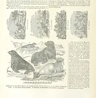 An illustration from Eighty Years' Progress of the United States: a family record of American industry, energy and enterprise ... By eminent literary men [C. L. Flint and others] ... Embellished with ... engravings, etc (1868)