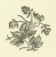 An illustration from Bond Slaves. The story of a struggle (1893)