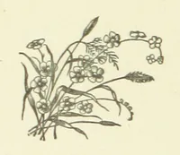 An illustration from Bond Slaves. The story of a struggle (1893)