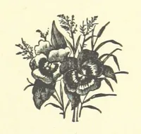 An illustration from Bond Slaves. The story of a struggle (1893)