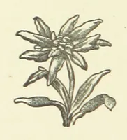 An illustration from Bond Slaves. The story of a struggle (1893)