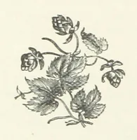An illustration from Bond Slaves. The story of a struggle (1893)